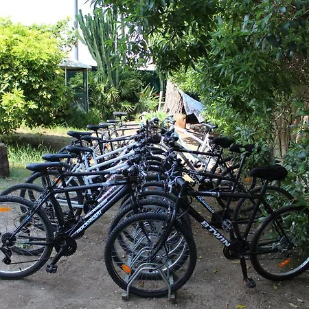 Byseacle-lisbon Bike Surf Camp
