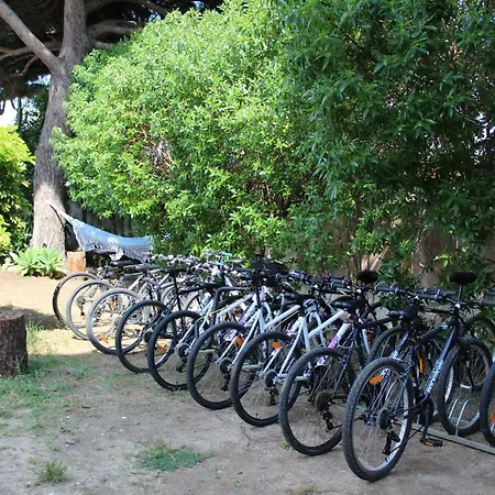 Bed & Breakfast Byseacle-lisbon Bike Surf Camp *